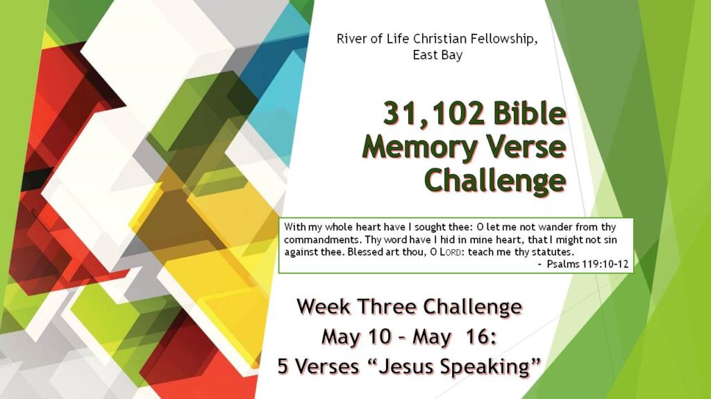 Bible Verse Challenge #3