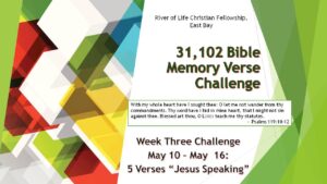 Bible Verse Challenge #3