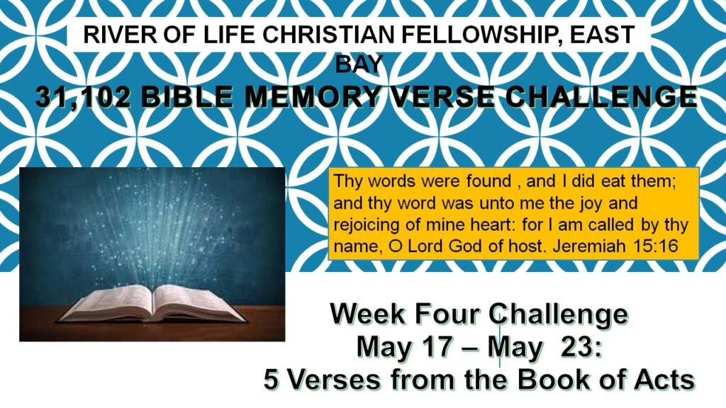 Bible Verse Challenge #4